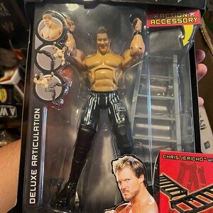 Wrestling Action Figure with Accessories